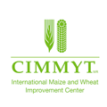 cimmyt